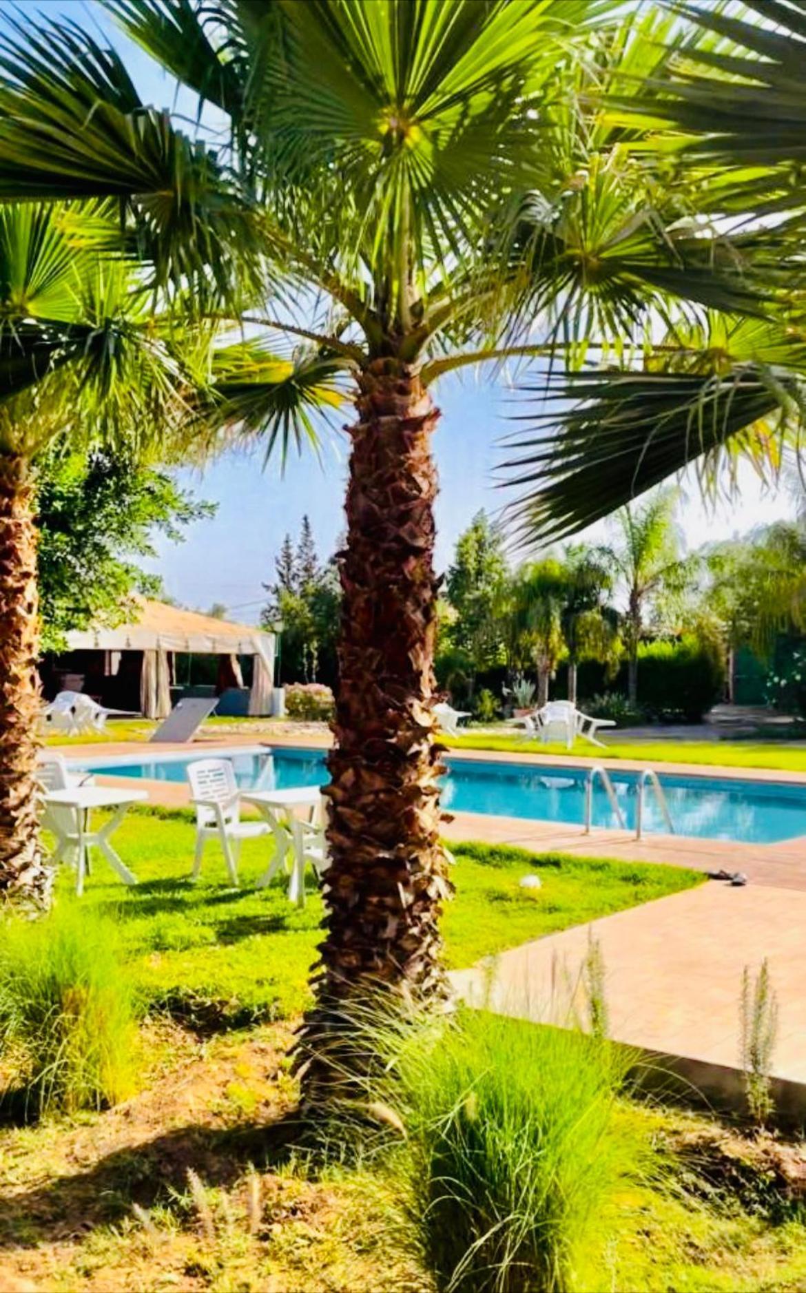 Villa Baddi Marrakech Lagouassem エクステリア 写真