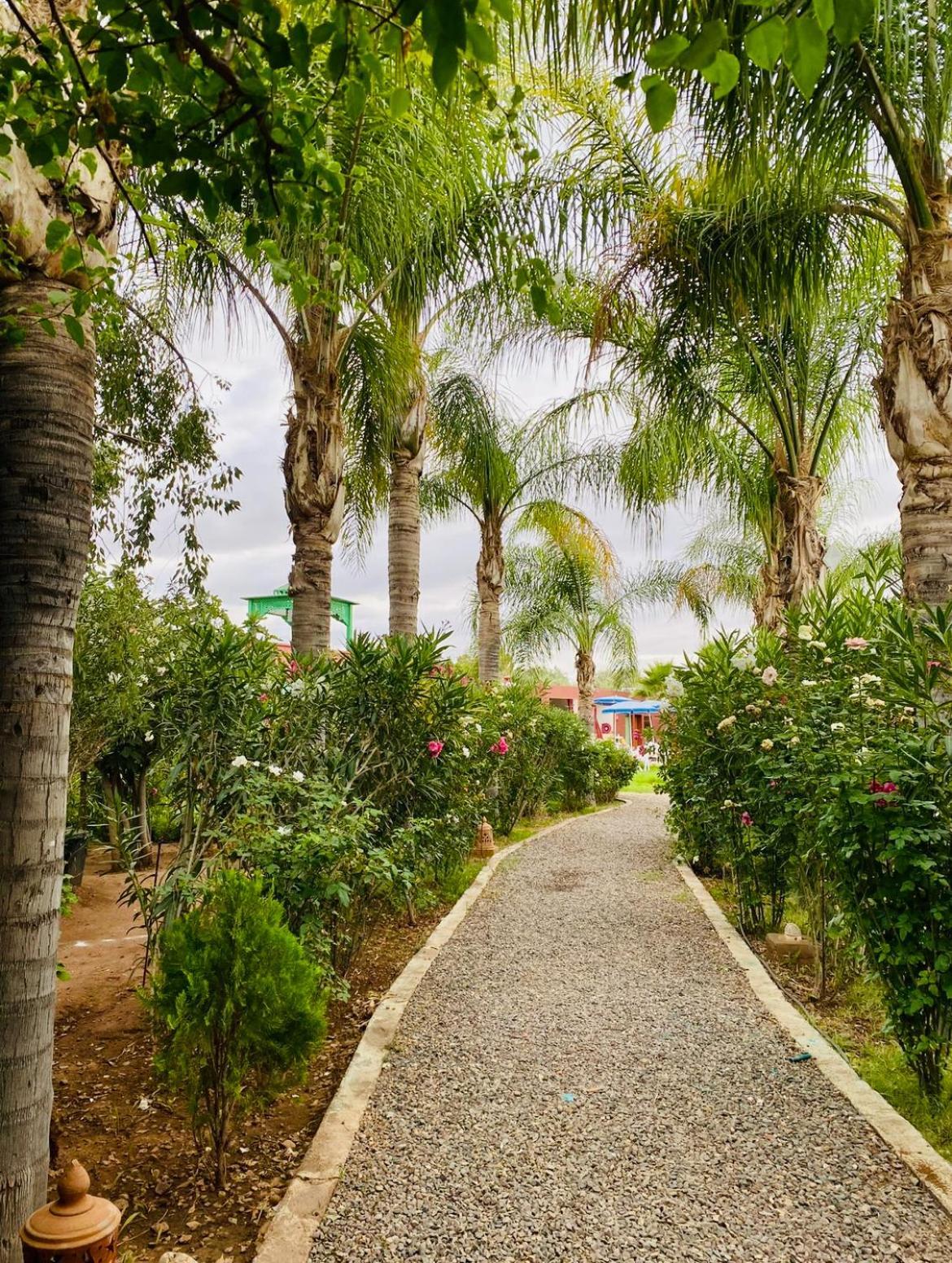 Villa Baddi Marrakech Lagouassem エクステリア 写真