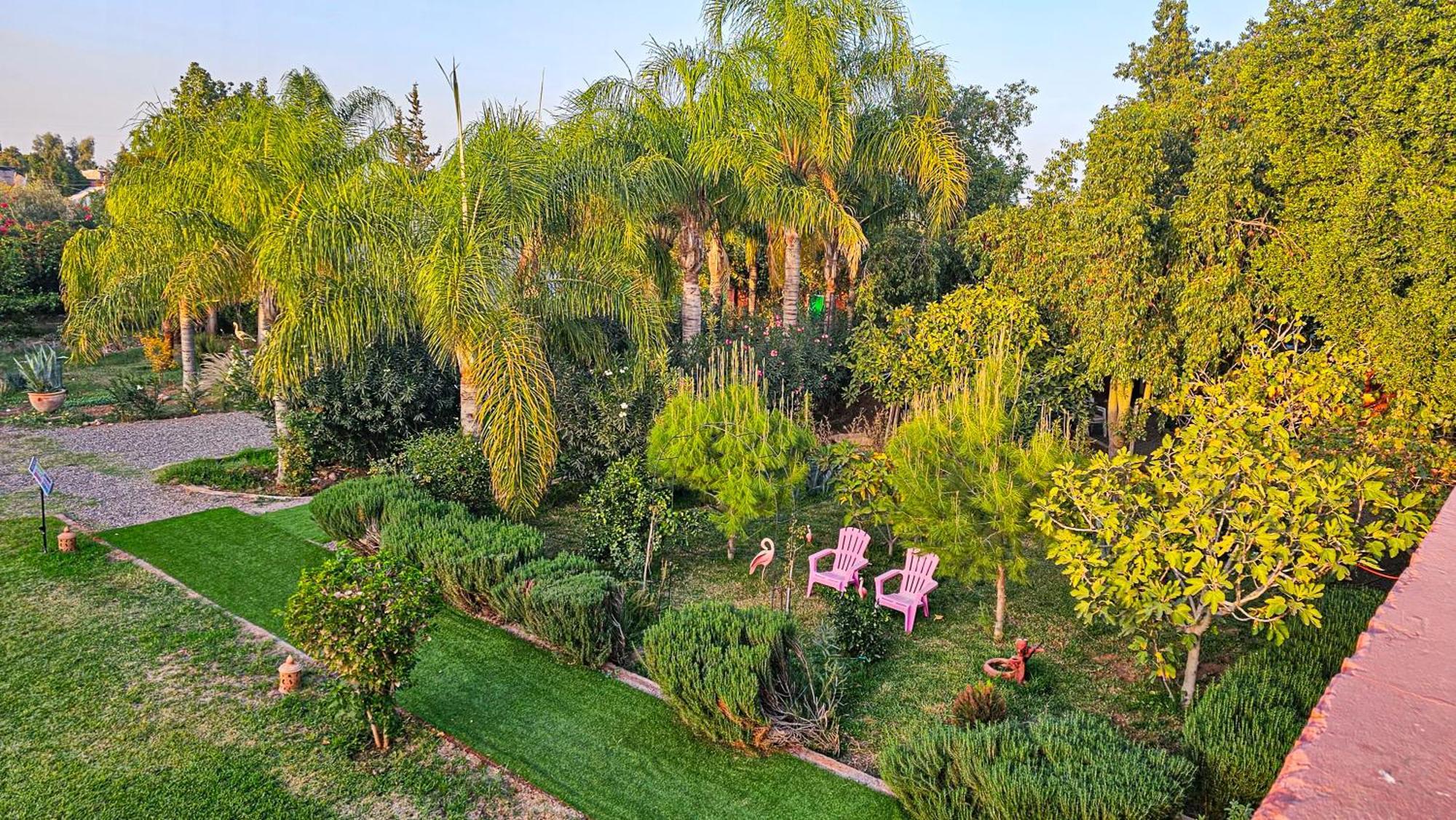 Villa Baddi Marrakech Lagouassem エクステリア 写真