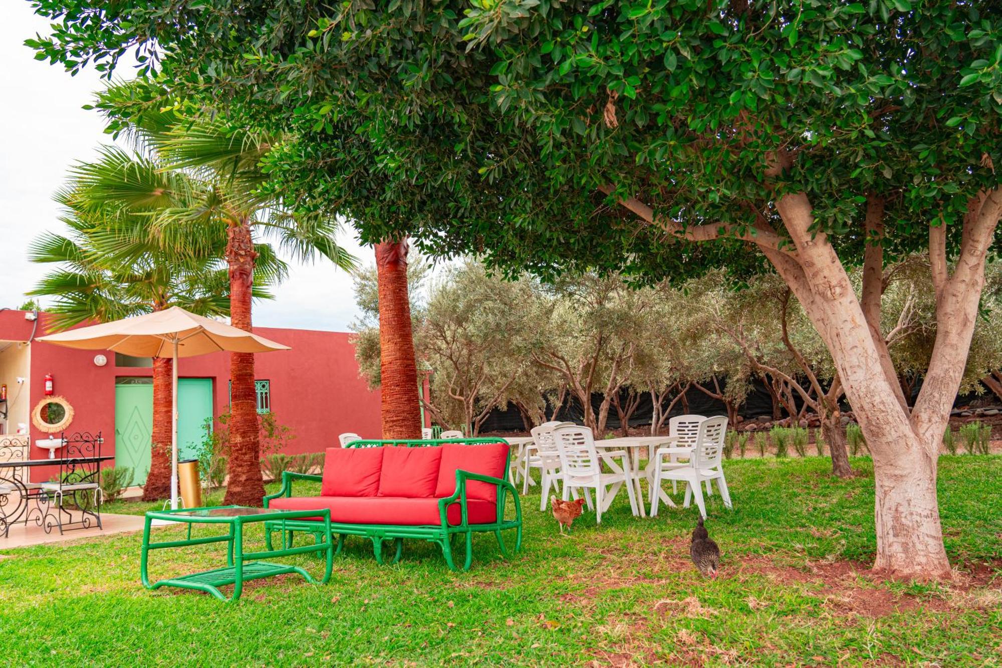 Villa Baddi Marrakech Lagouassem エクステリア 写真