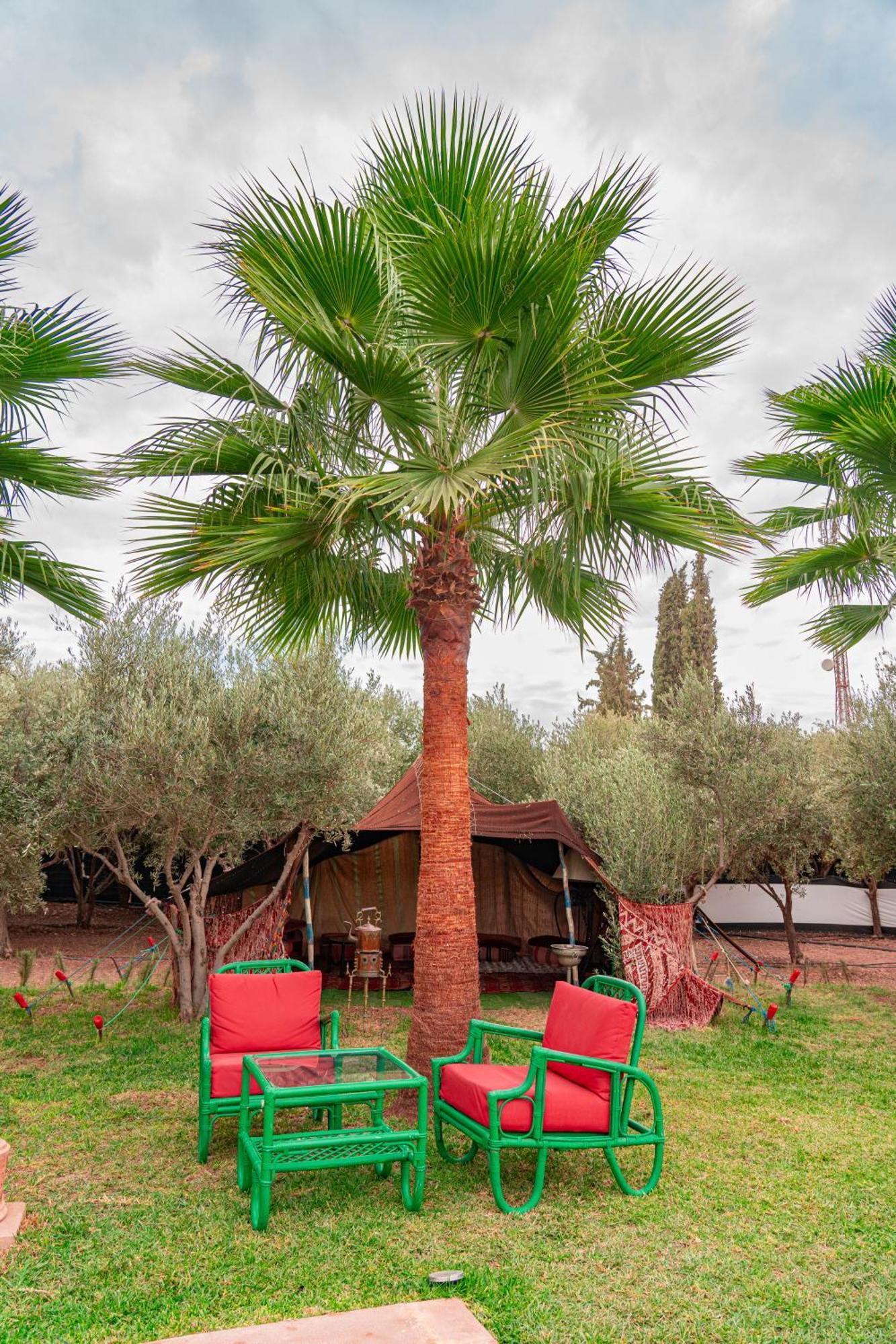 Villa Baddi Marrakech Lagouassem エクステリア 写真
